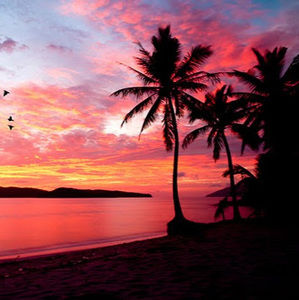 Meet your Posher, Amira